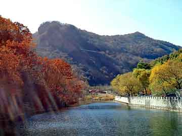 管家婆四肖四码免费以及77777888管家婆四肖四码揭秘芳草,权威解读说明-谨防虚假信息风险拆穿